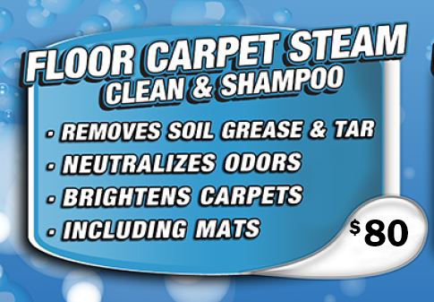 Bert's Carpet Shampoo